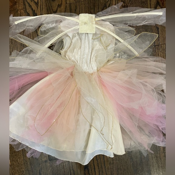 Fairy Dust Pottery Barn Kids Fairy Costume with Wings Girls Small Size 4T - Picture 2 of 4